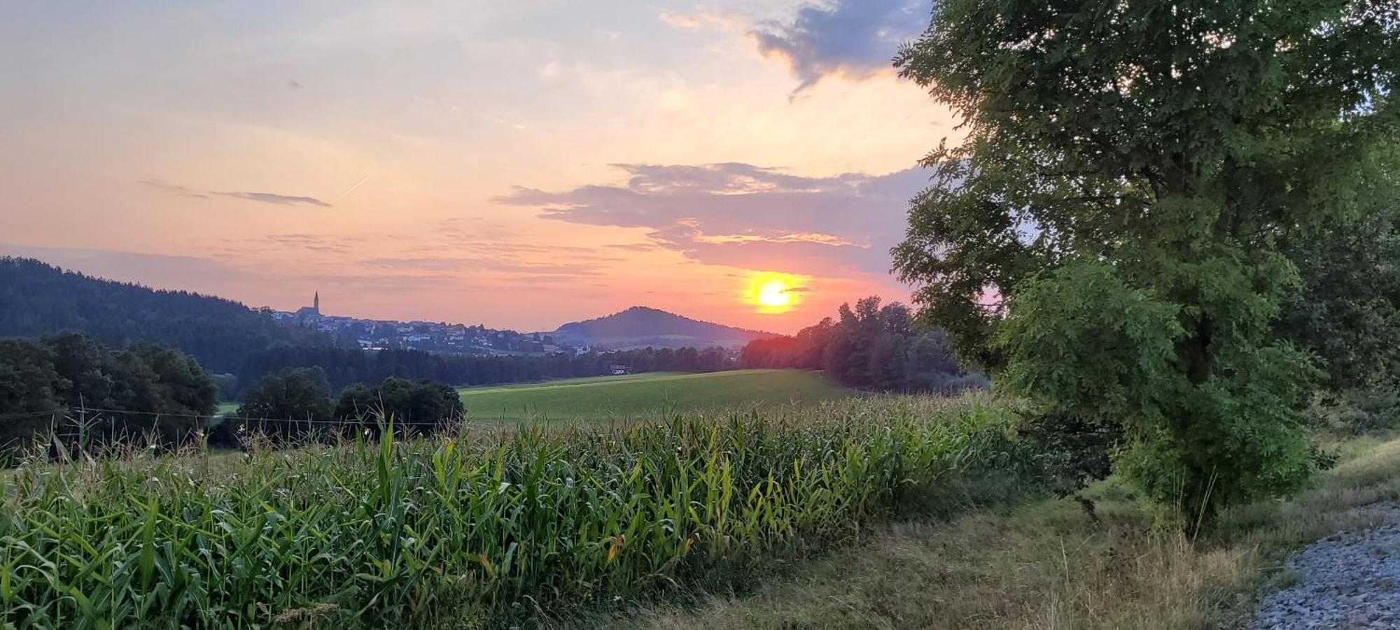 Ferienwohnung Bayerwaldblick Jandelsbrunn ภายนอก รูปภาพ