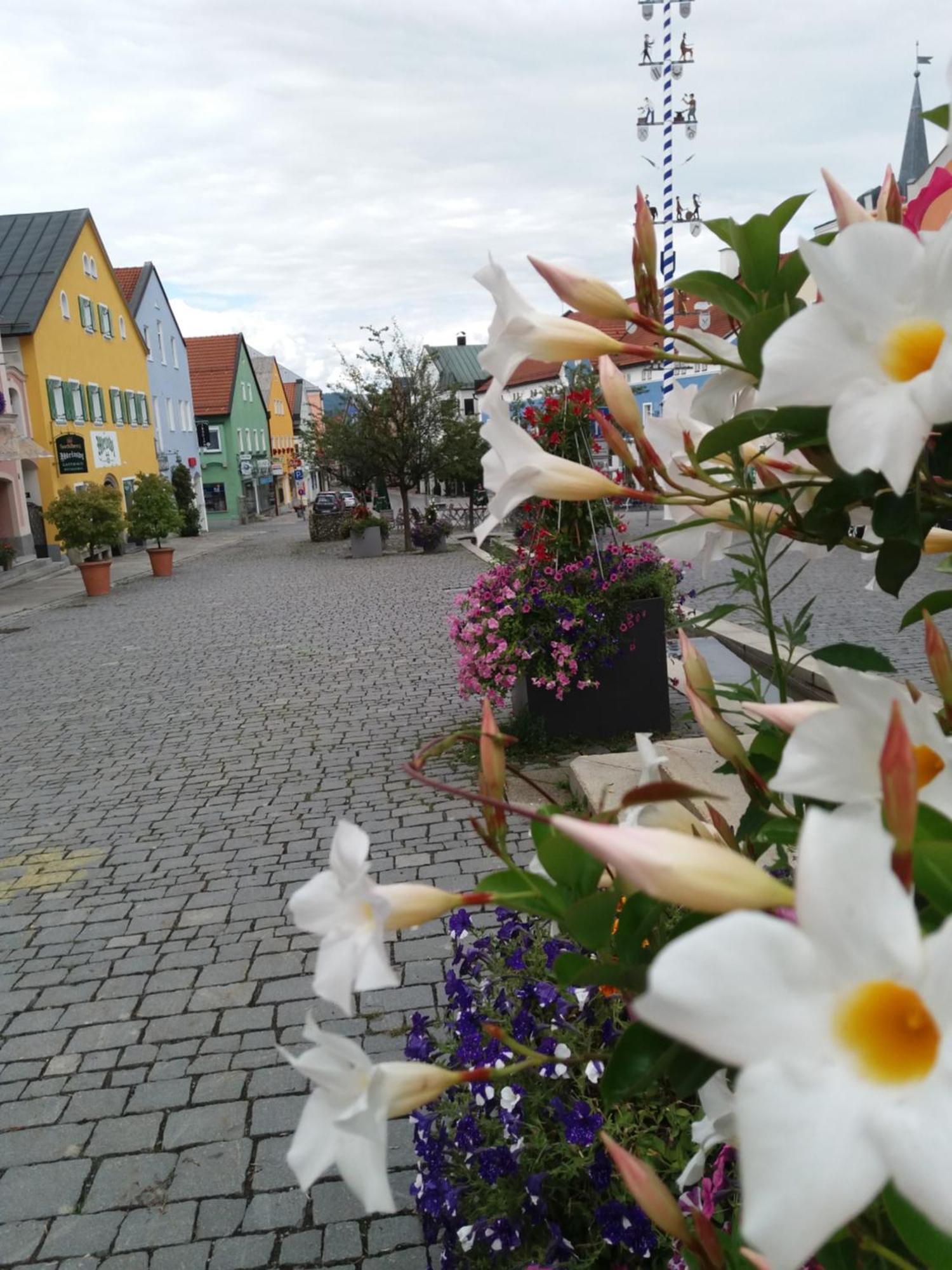 Ferienwohnung Bayerwaldblick Jandelsbrunn ภายนอก รูปภาพ