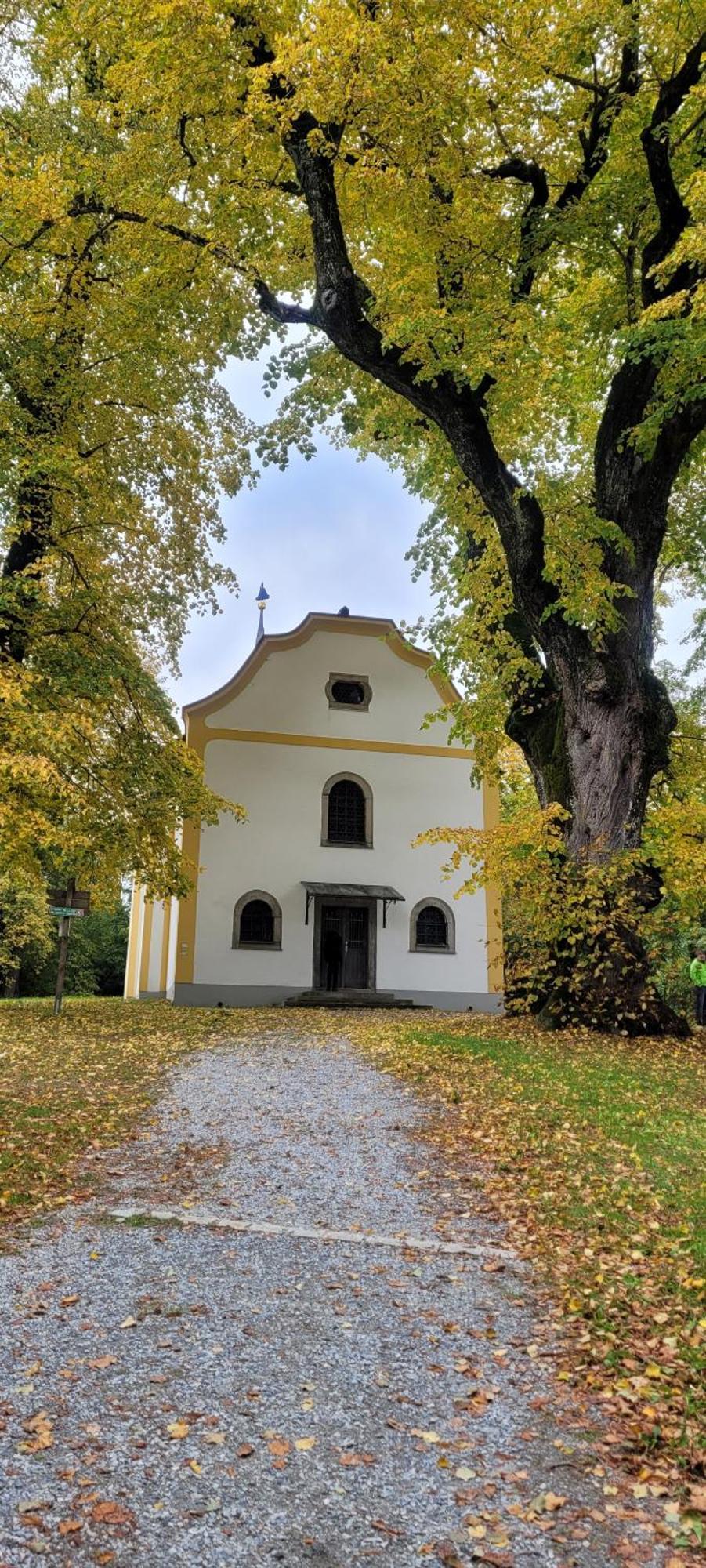 Ferienwohnung Bayerwaldblick Jandelsbrunn ภายนอก รูปภาพ