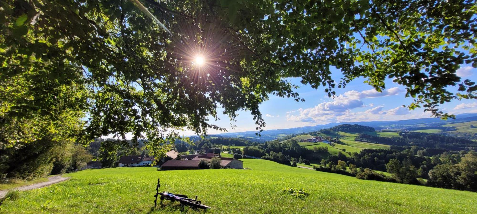 Ferienwohnung Bayerwaldblick Jandelsbrunn ภายนอก รูปภาพ