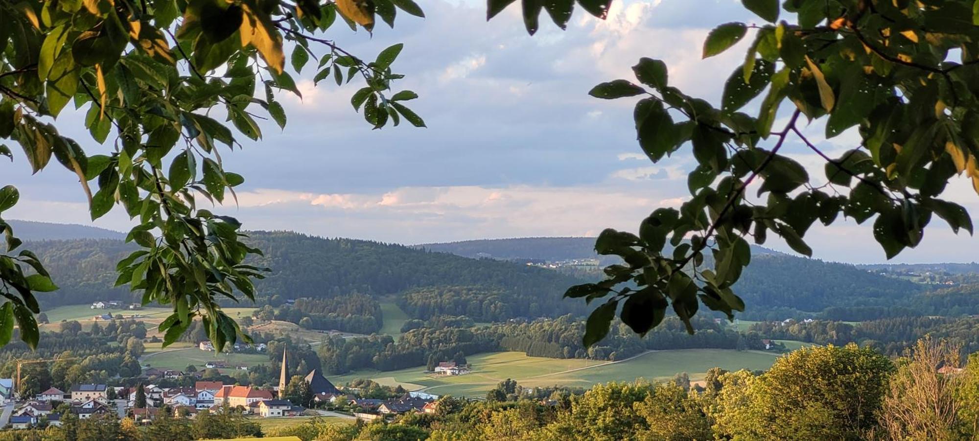 Ferienwohnung Bayerwaldblick Jandelsbrunn ภายนอก รูปภาพ