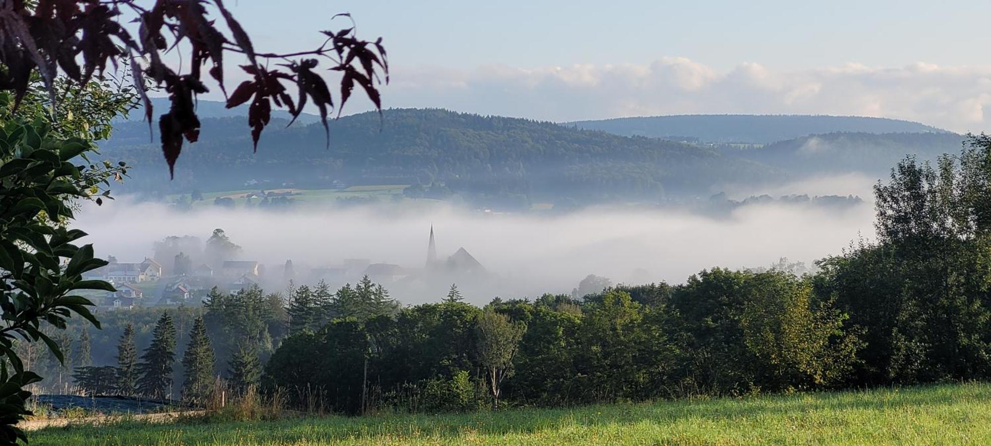 Ferienwohnung Bayerwaldblick Jandelsbrunn ภายนอก รูปภาพ
